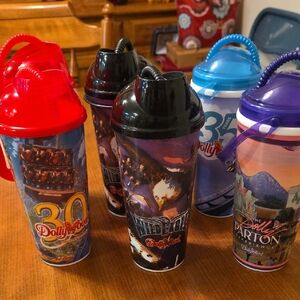 Dollywood Souvenir Cups 6pc Set